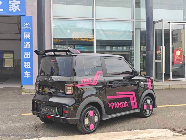 Geely Galaxy Panda Mini, 2024 — фото 9 из 9
