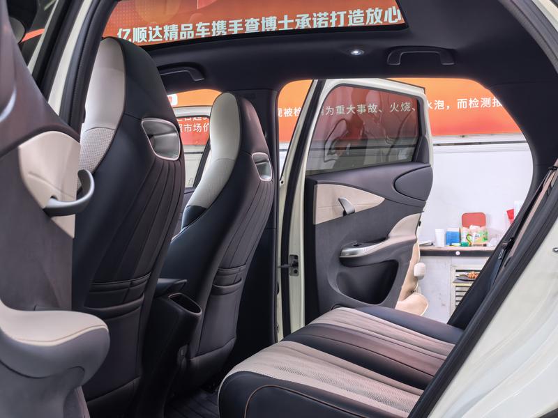 BYD Dolphin, 2024 — фото 11 из 12