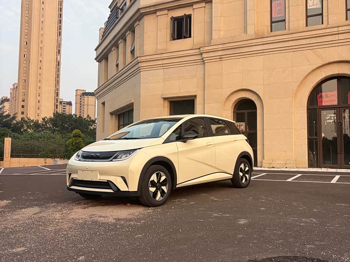 BYD Dolphin, 2026 — купить в Чебоксарах под ключ