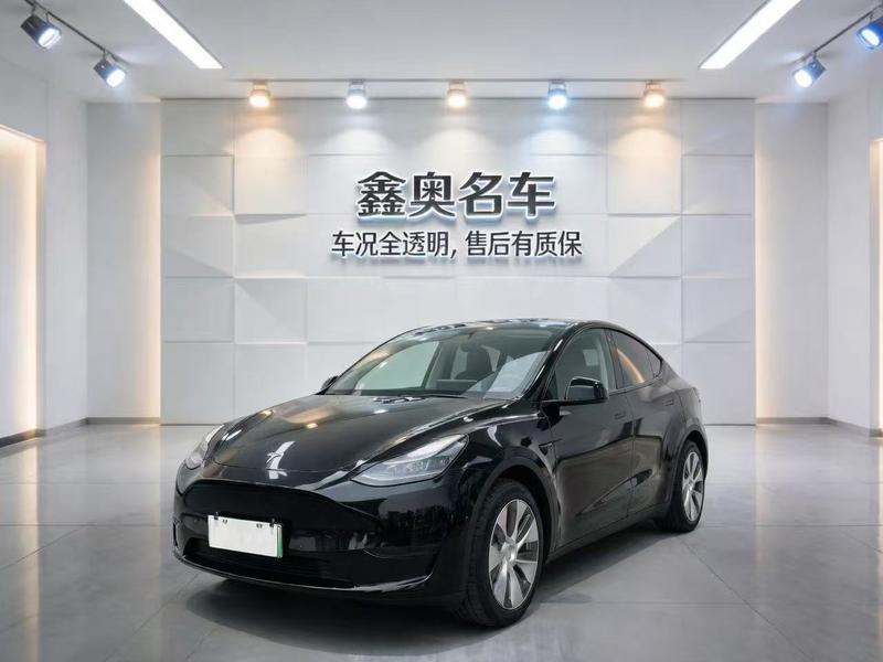 Tesla Model Y, 2021 — купить в Белгороде под ключ