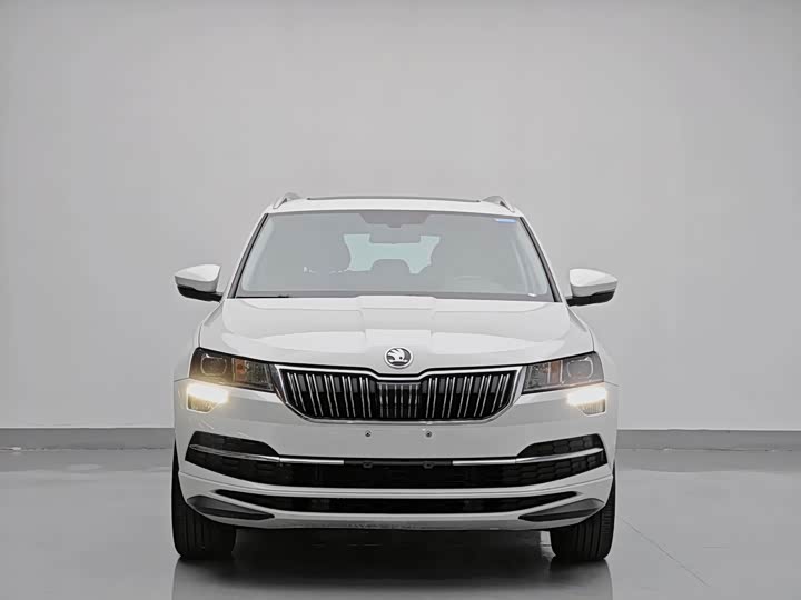 Skoda Karoq, 2023 — фото 2 из 9