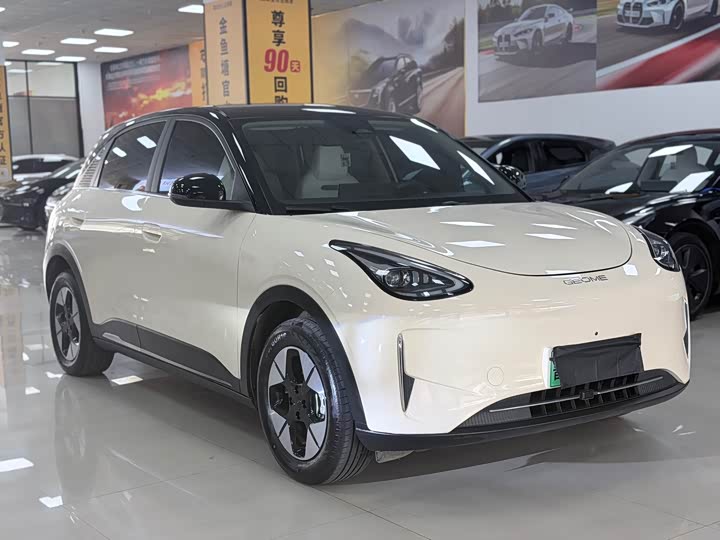 Geely Galaxy Geome, 2024 — фото 3 из 9