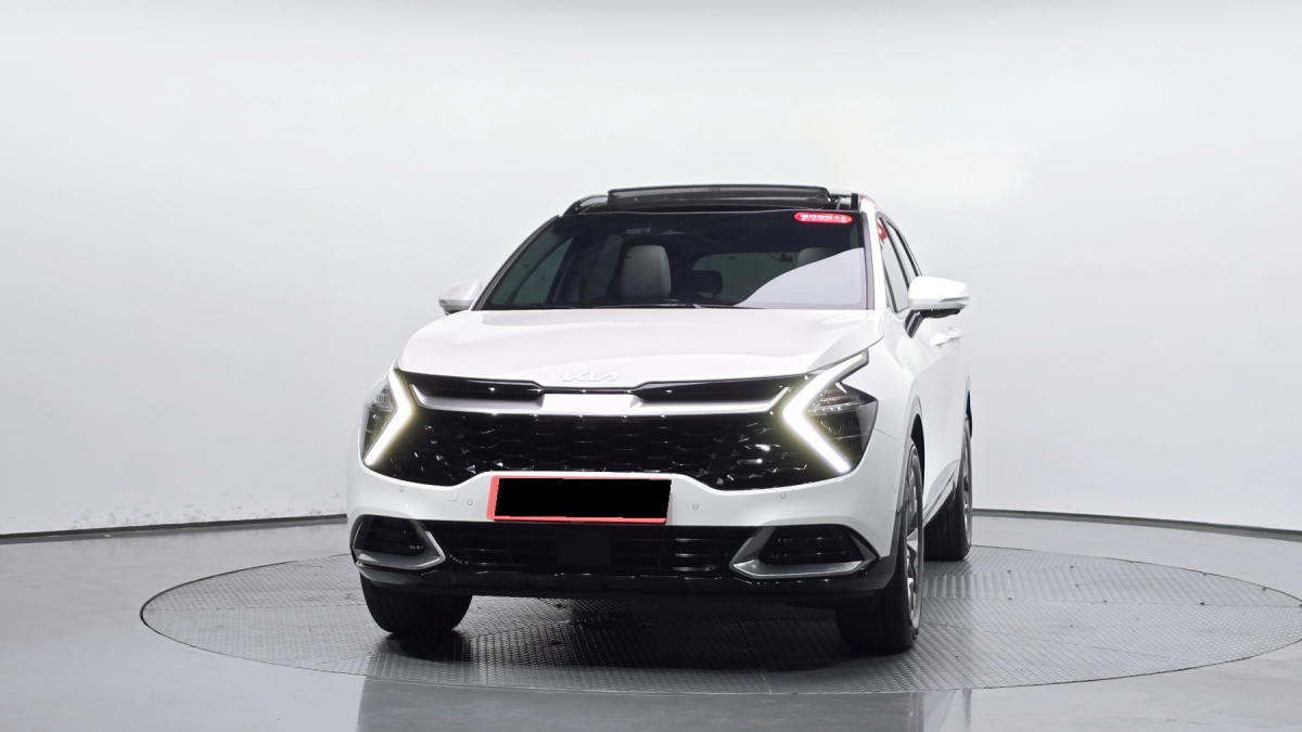 Kia Sportage, 2024 — фото 3 из 12