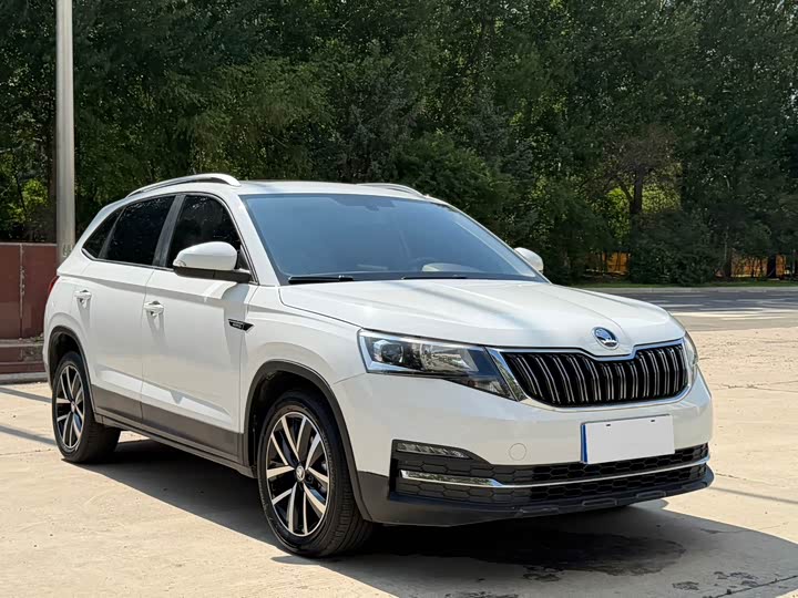 Skoda Kamiq, 2023 — фото 3 из 9