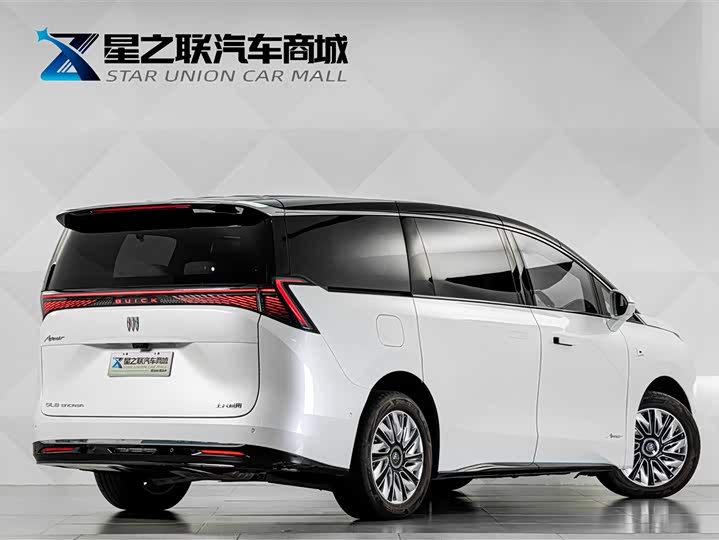 Buick OMPV, 2025 — фото 6 из 9