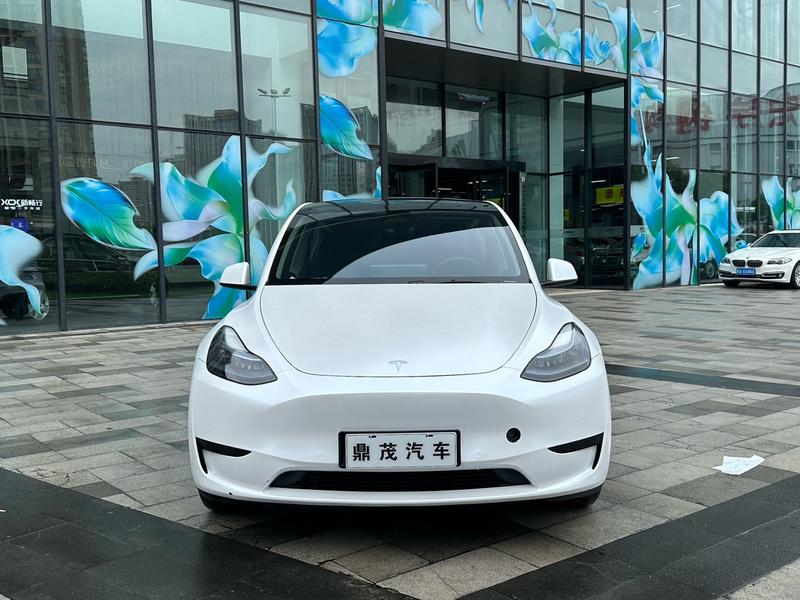 Tesla Model Y, 2023 — фото 2 из 12