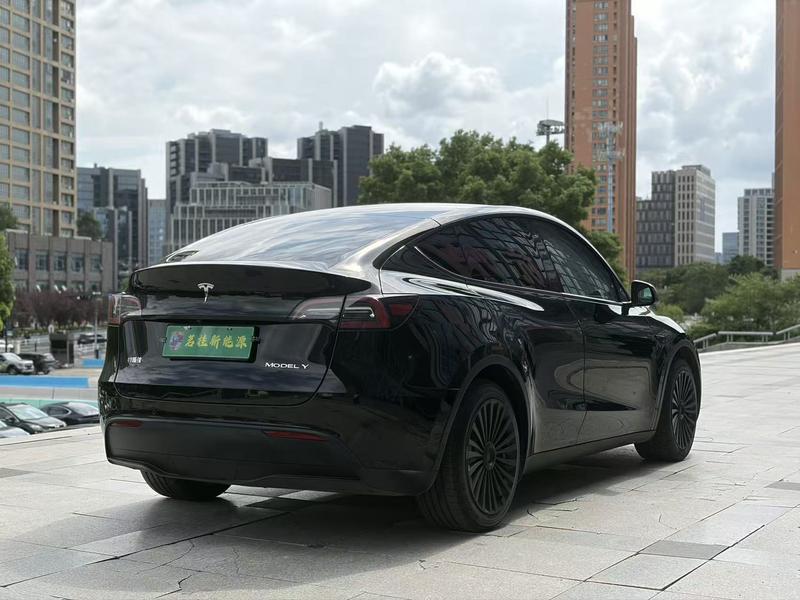 Tesla Model Y, 2022 — фото 7 из 12