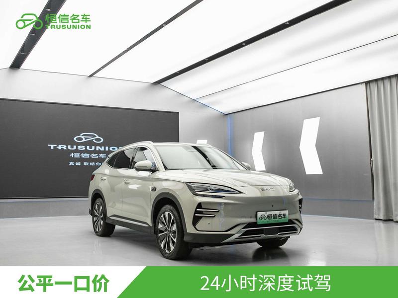 BYD Song Plus Hybrid/EV, 2025 — фото 3 из 12