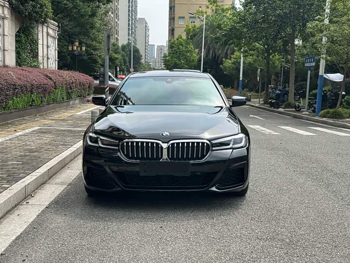 BMW 5 Series Hybrid, 2021 — фото 7 из 9