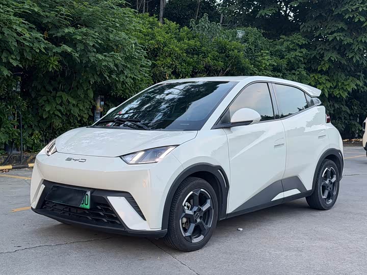 BYD Seagull, 2023 — купить в Липецке под ключ