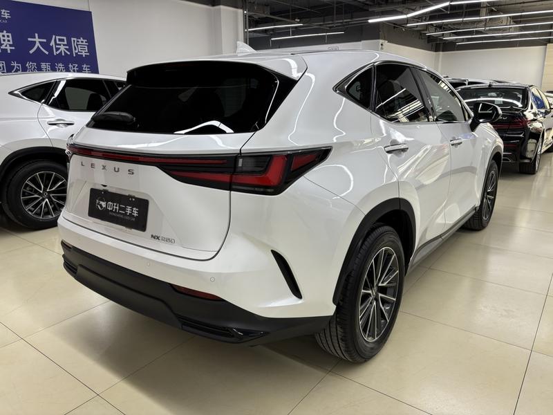 Lexus NX, 2023 — фото 4 из 12