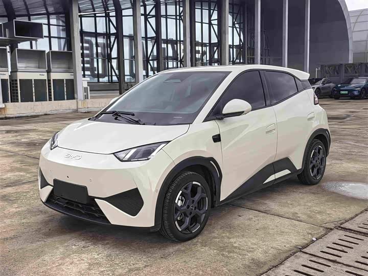 BYD Seagull, 2025 — купить в Воронеже под ключ