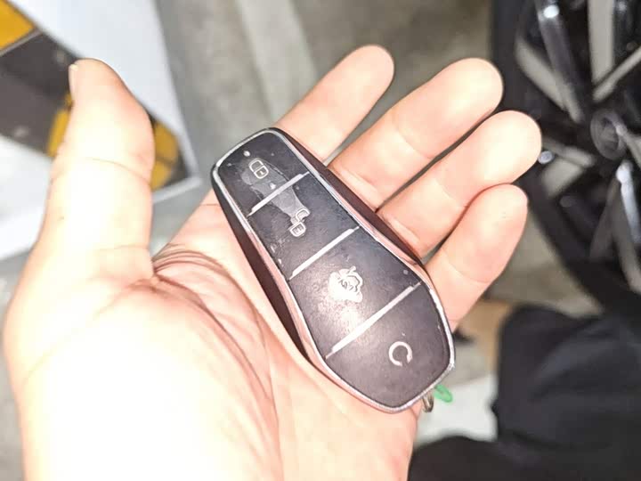 BYD Song Pro Hybrid, 2024 — фото 9 из 9
