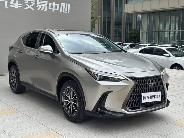 Lexus NX, 2022 — фото 3 из 9