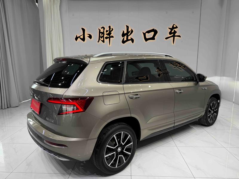 Skoda Karoq, 2023 — фото 6 из 12