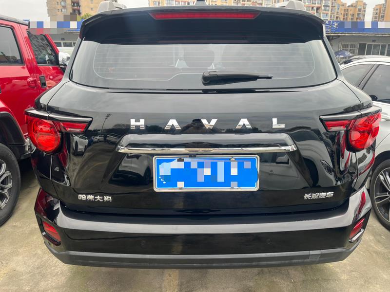 Haval H-Dog, 2023 — фото 5 из 12