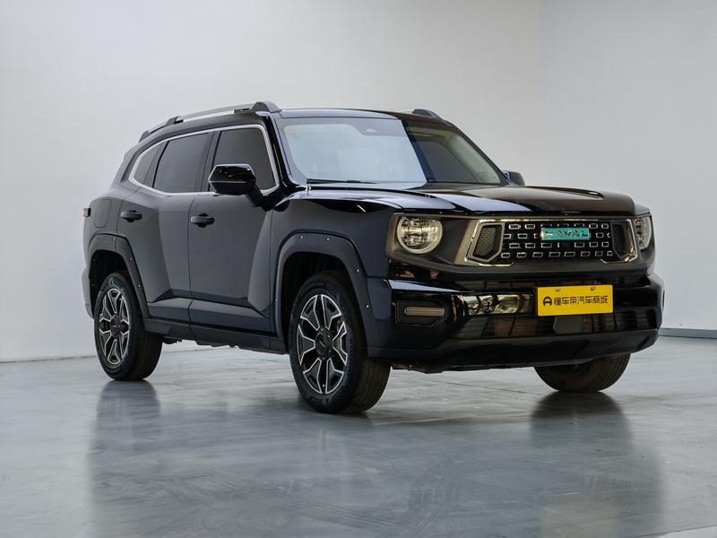 Haval H-Dog Hybrid, 2023 — фото 3 из 12