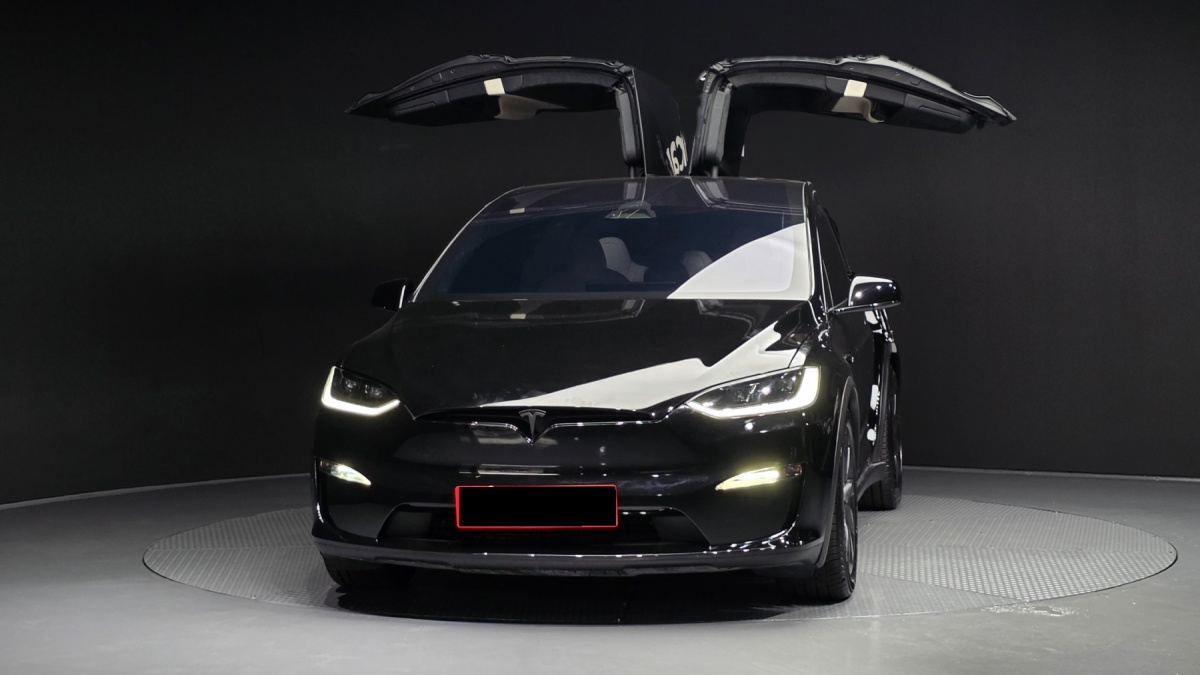 Tesla Model X, 2025 — фото 3 из 12