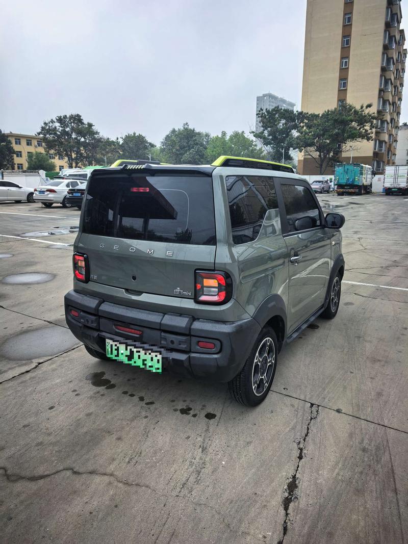 Geely Galaxy Panda Mini, 2023 — фото 6 из 8