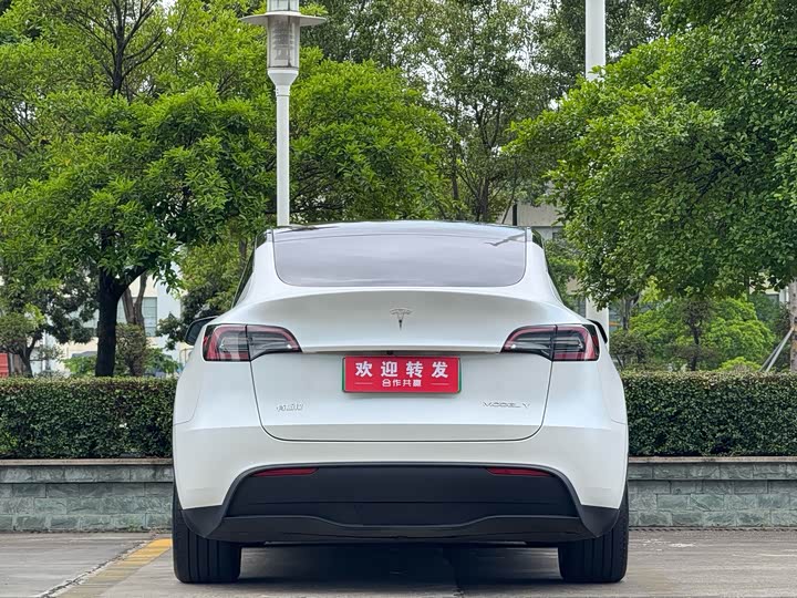 Tesla Model Y, 2023 — фото 5 из 9