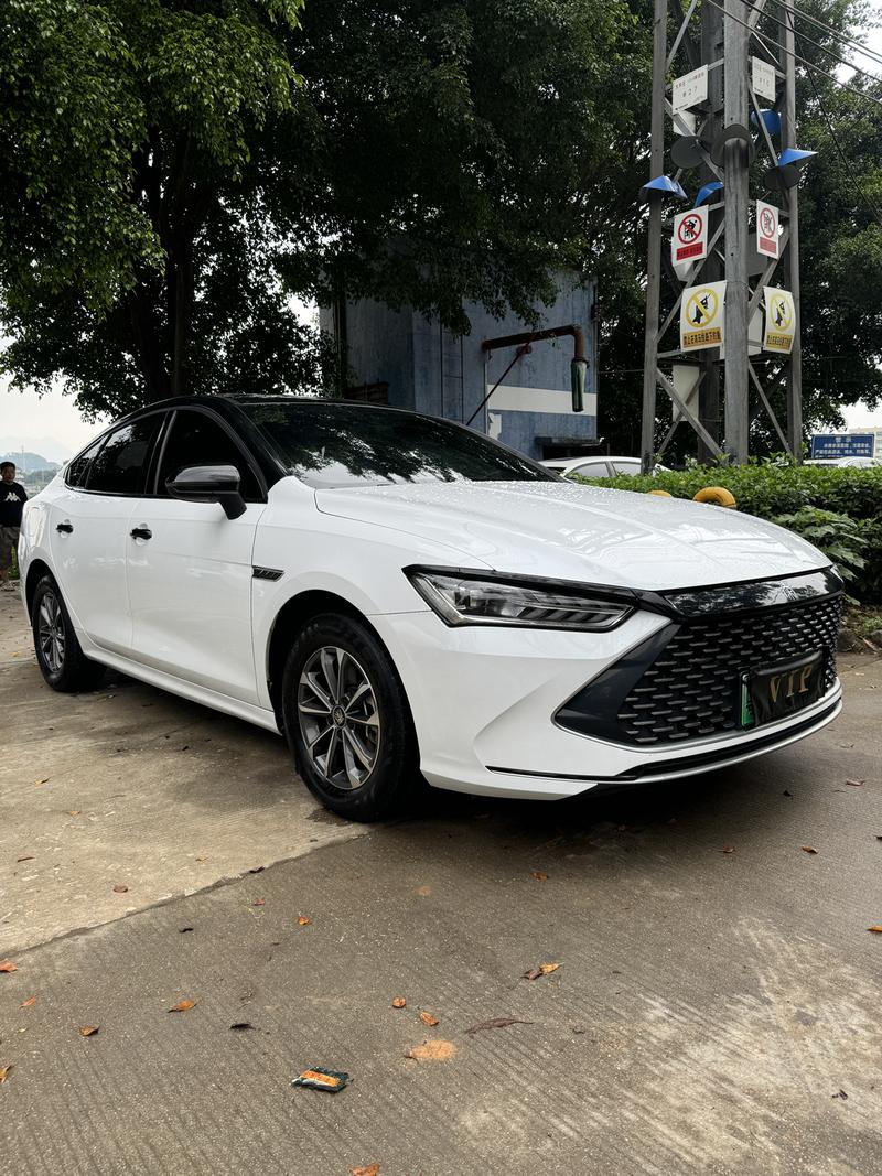 BYD Qin Plus, 2024 — фото 3 из 10