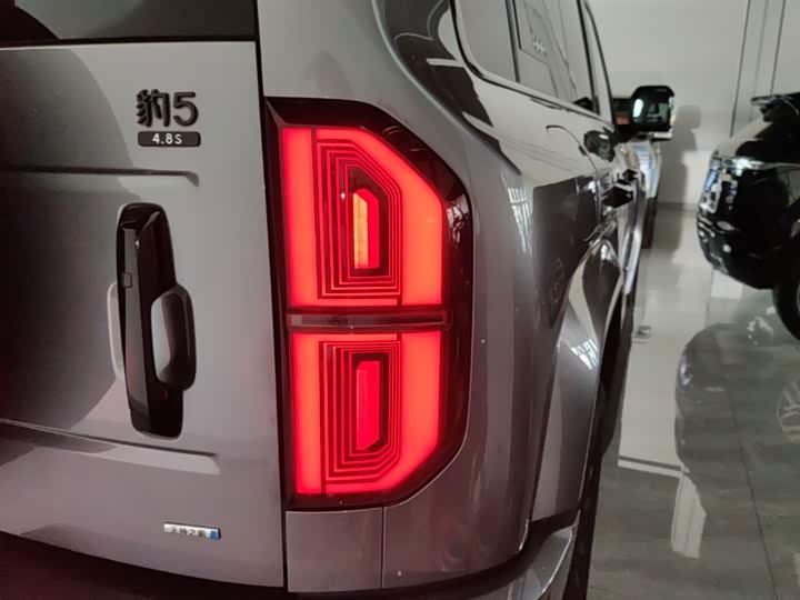 BYD FangChengBao Leopard 5, 2024 — фото 8 из 9