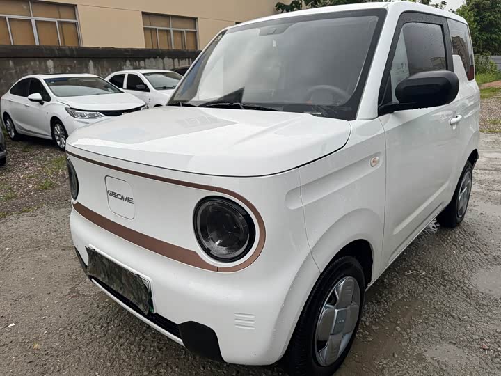 Geely Galaxy Panda Mini, 2024 — фото 3 из 9