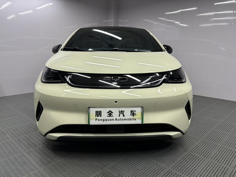 BYD Dolphin, 2025 — фото 2 из 12