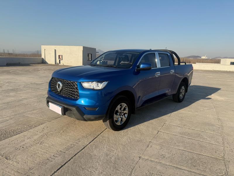 Great Wall Pao, 2021 — купить в Перми под ключ