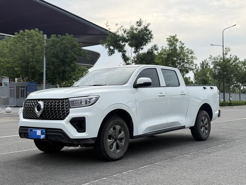 Great Wall Pao, 2025 — купить в Воронеже под ключ