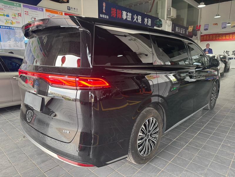 BYD M9, 2025 — фото 3 из 9
