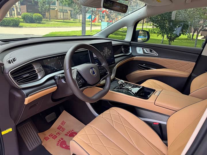 Denza D9, 2024 — фото 7 из 9