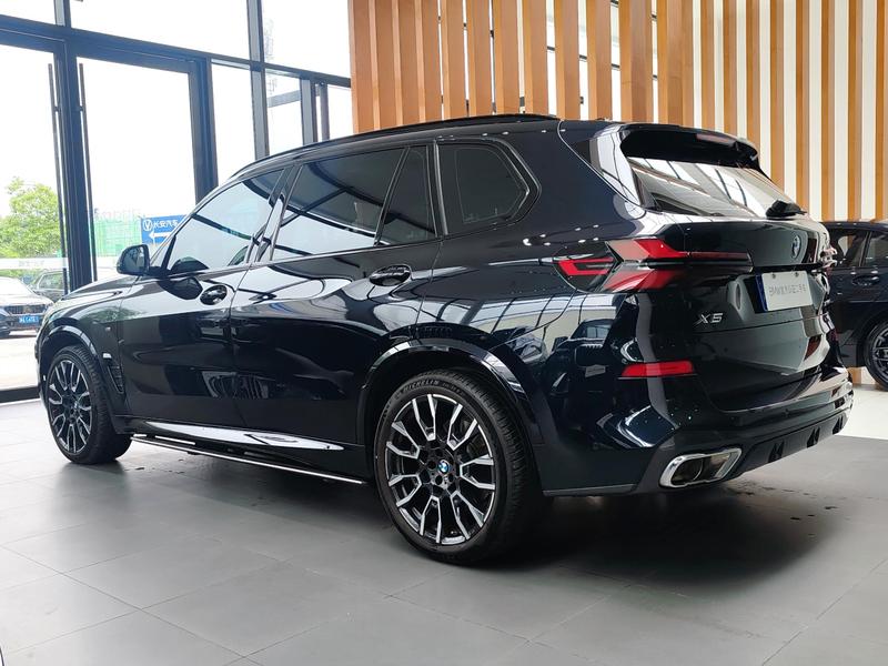 BMW X5, 2023 — фото 5 из 12