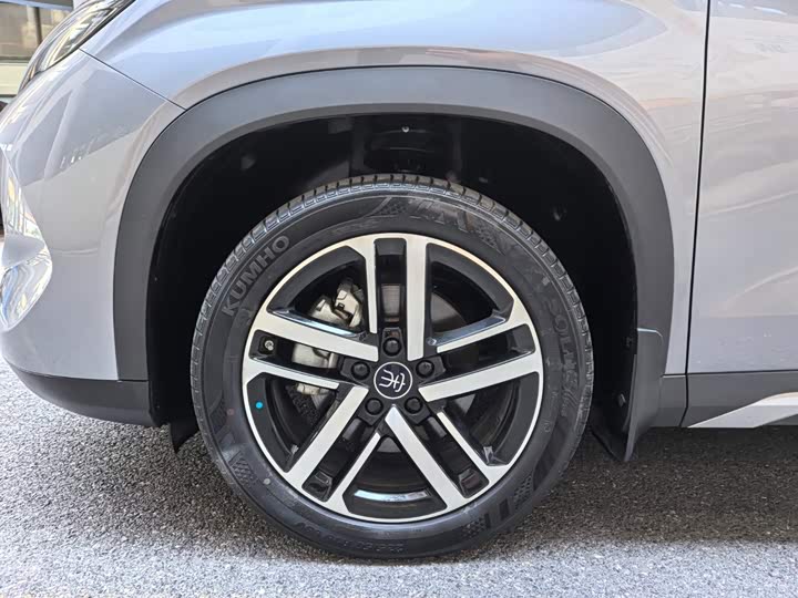 BYD Song L DM-i Hybrid, 2024 — фото 6 из 9