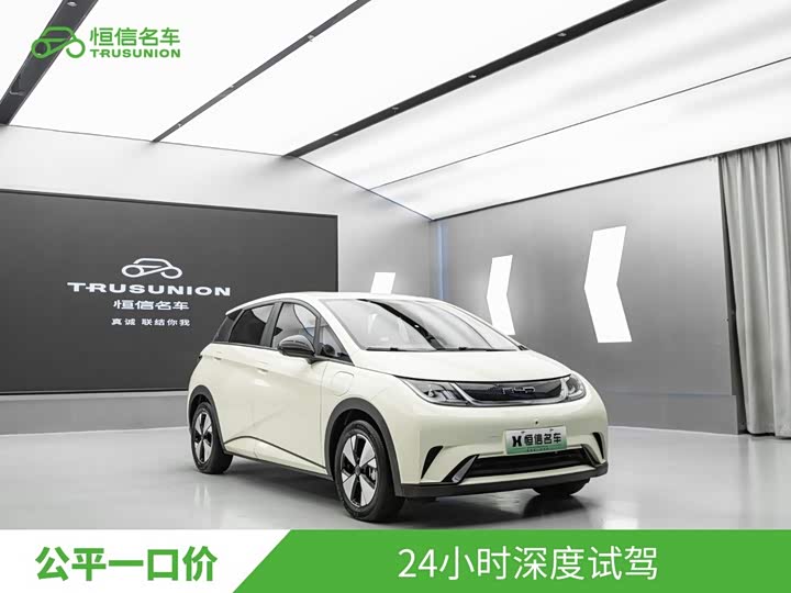 BYD Dolphin, 2023 — купить в Санкт-Петербурге под ключ