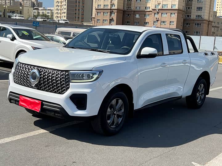 Great Wall Pao, 2023 — купить в Орле под ключ