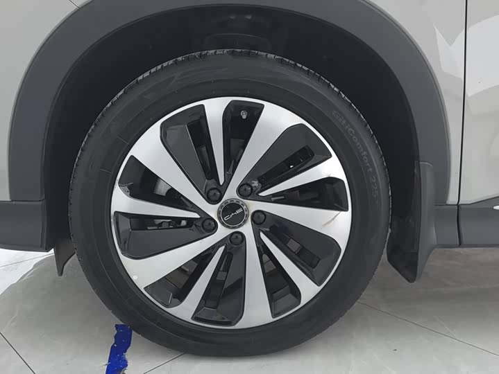BYD Song Plus Hybrid/EV, 2024 — фото 6 из 9