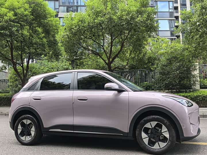 Geely Galaxy Geome, 2025 — фото 3 из 9