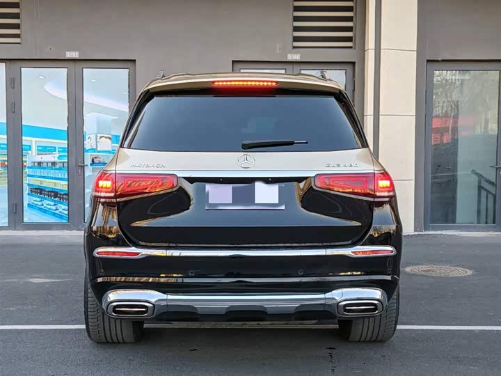 Mercedes-Benz Maybach GLS, 2022 — фото 5 из 9