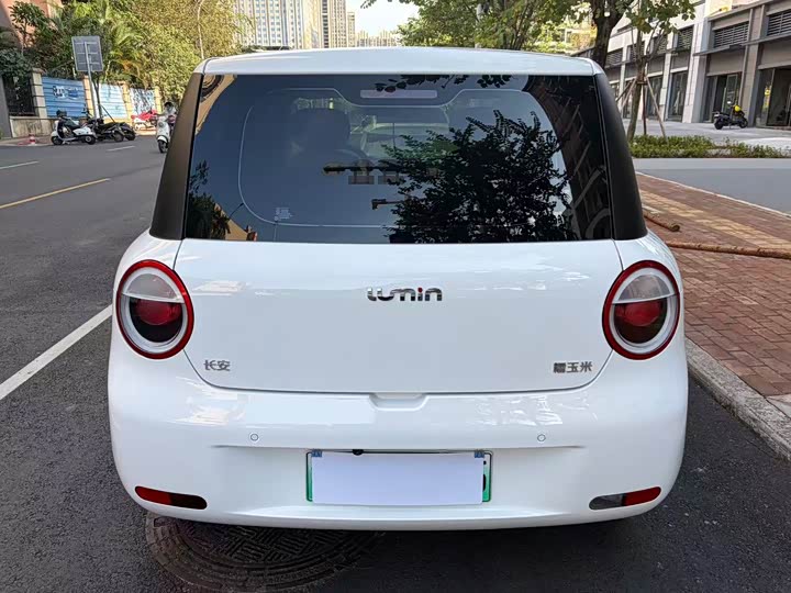 Changan Qiyuan (Nevo) Lumin, 2024 — фото 4 из 9