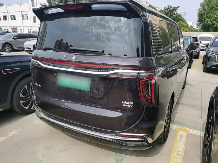 Hongqi HQ9 Hybrid, 2024 — фото 7 из 9