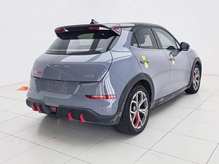 Ora Good Cat GT (03 GT), 2023 — фото 8 из 9