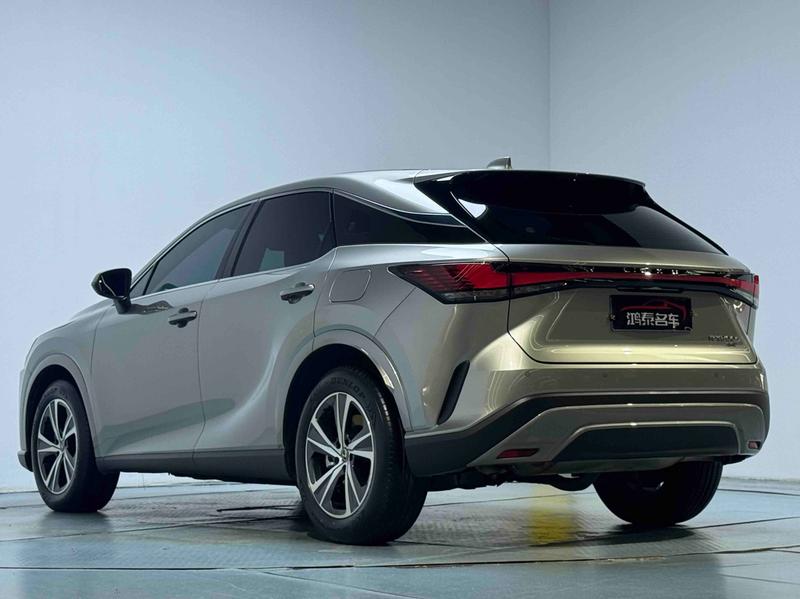 Lexus RX, 2024 — фото 5 из 12