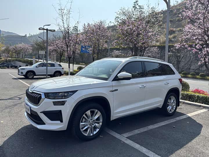 Skoda Kodiaq, 2024 — купить в Орле под ключ