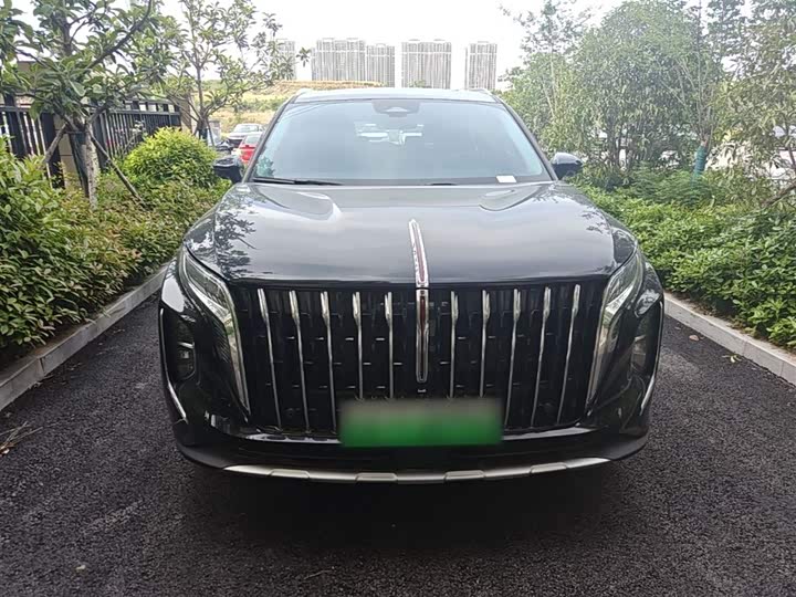Hongqi HS7 Hybrid, 2024 — фото 3 из 9