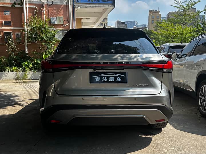 Lexus RX, 2022 — фото 8 из 9