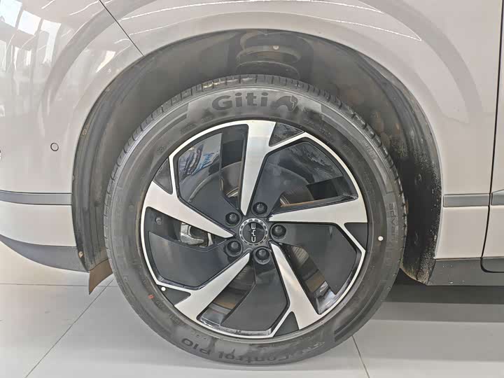 BYD Sea Lion 06 Hybrid/EV, 2025 — фото 9 из 9