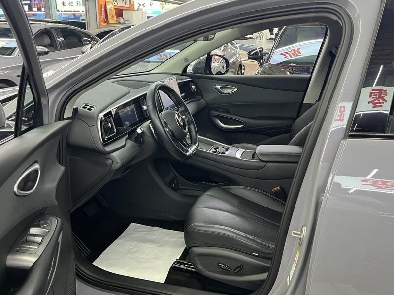 BYD Sea Lion 05 EV, 2025 — фото 10 из 12