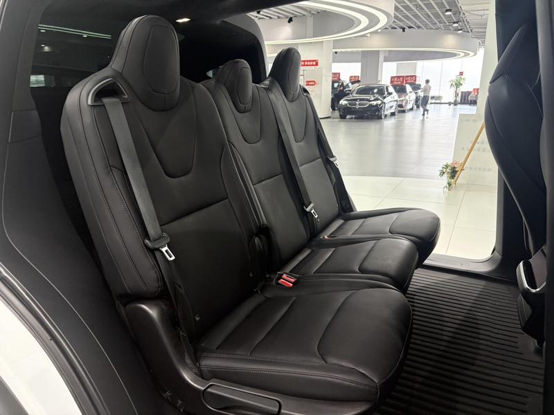 Tesla Model X, 2023 — фото 10 из 11