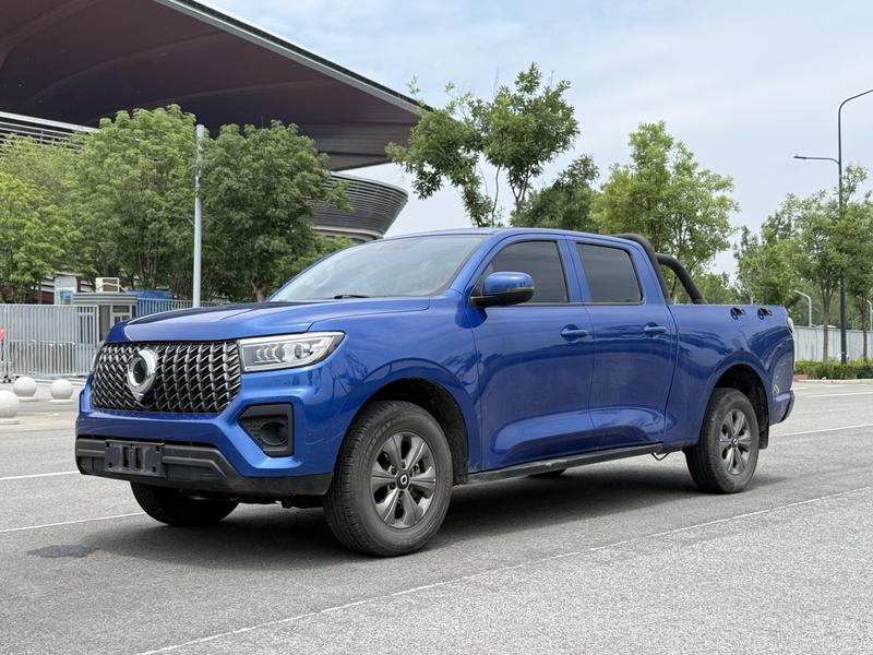 Great Wall Pao, 2023 — купить в Саранске под ключ